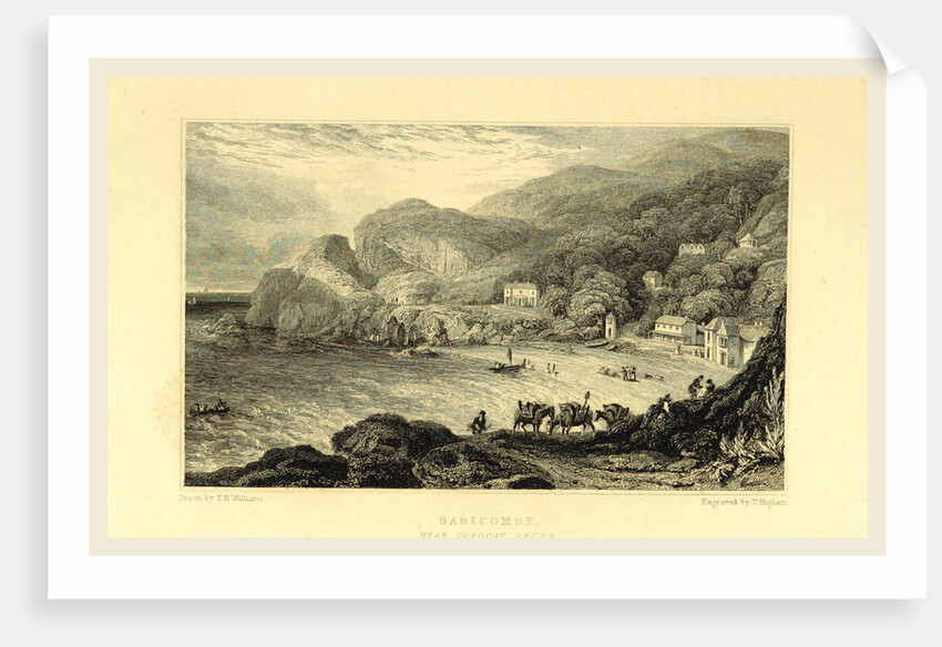 The Picturesque Beauties of Devonshire, Babicombe by Anonymous