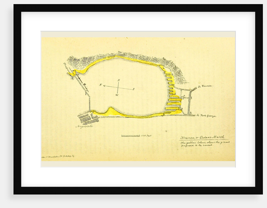 The Colonies, treating of their value generally-of the Ionian Islands in particular, Kranea or Cutaro Marsh by Anonymous