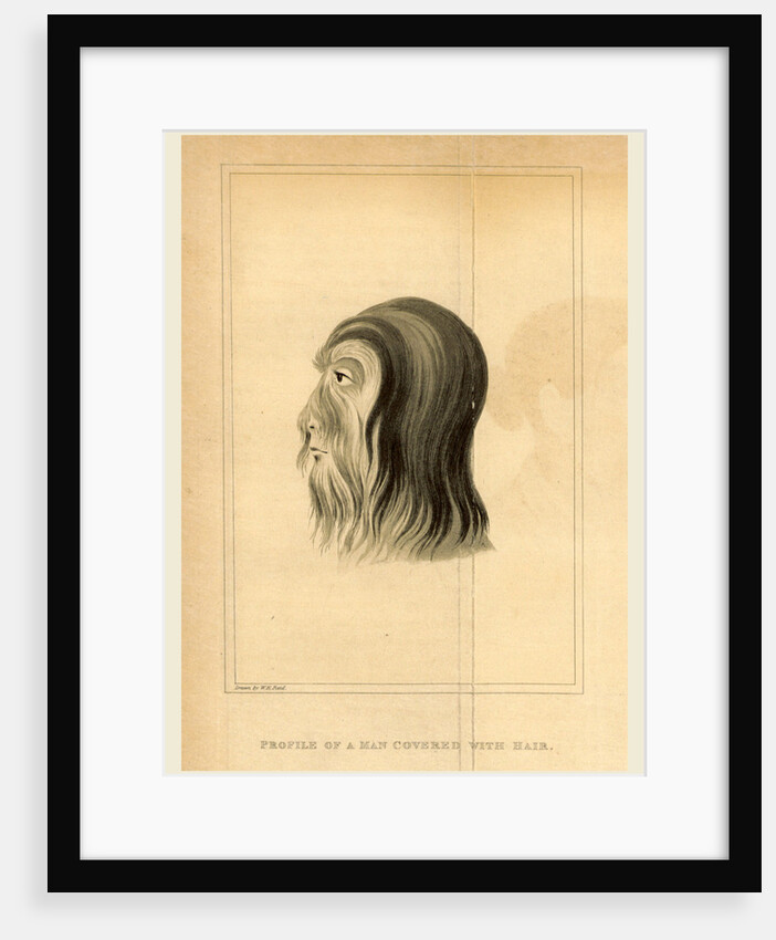 Journal of an Embassy from the Governor General of India to the Court of Ava by Anonymous