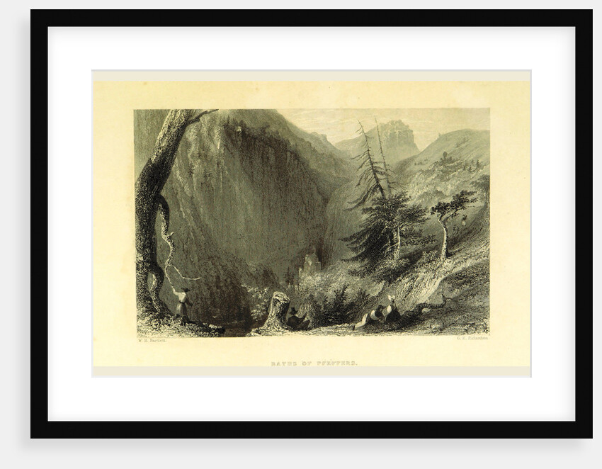 Baths of Pfeffers, Switzerland by W. H. Bartlett