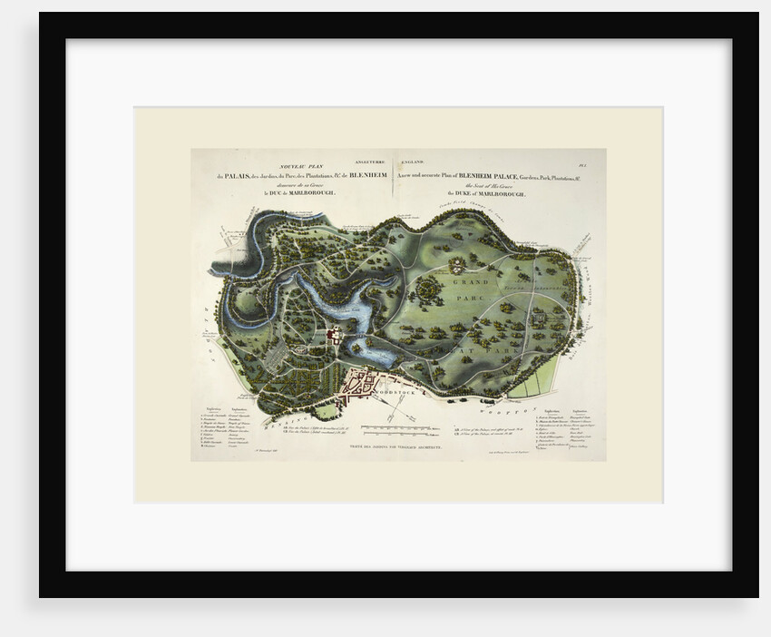 A new and accurate plan of Blenheim Palace, UK by Anonymous