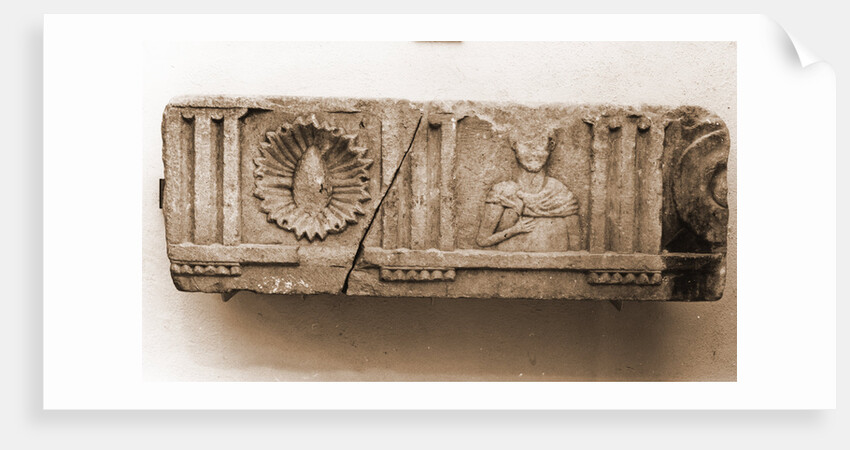 Museo Nazionale d'Abruzzo, L'Aquila, L'Aquila, Abruzzo by Anonymous