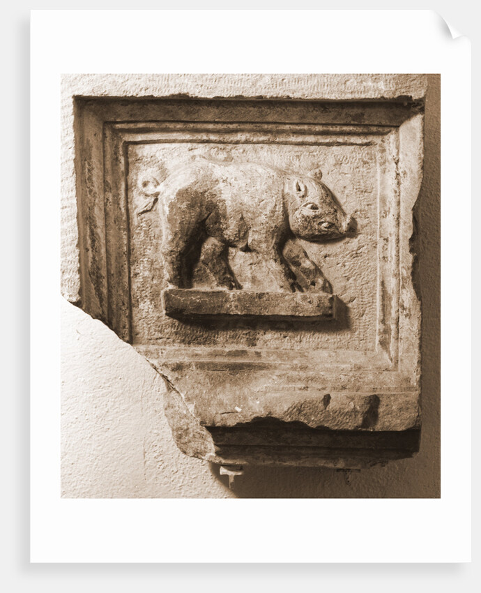 Museo Nazionale d'Abruzzo, L'Aquila, L'Aquila, Abruzzo by Anonymous