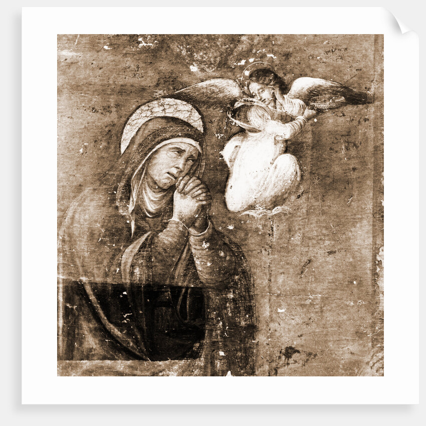 Museo Nazionale d'Abruzzo, L'Aquila, L'Aquila, Abruzzo by Anonymous