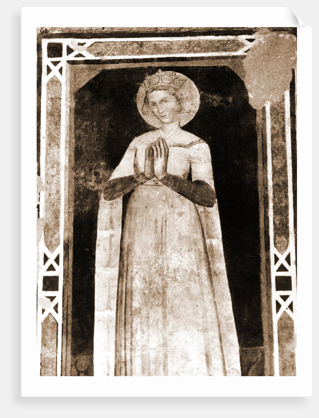 S. Maria di Collemaggio, L'Aquila, Abruzzo by Anonymous