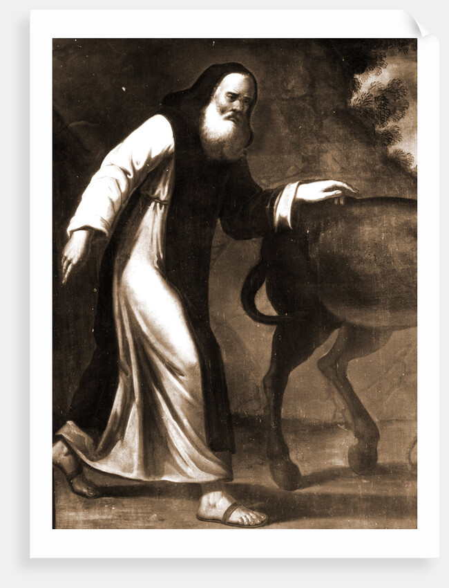 S. Maria di Collemaggio, L'Aquila, Abruzzo by Anonymous