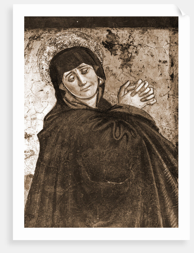 Museum, Celano, L'Aquila, Abruzzo by Anonymous