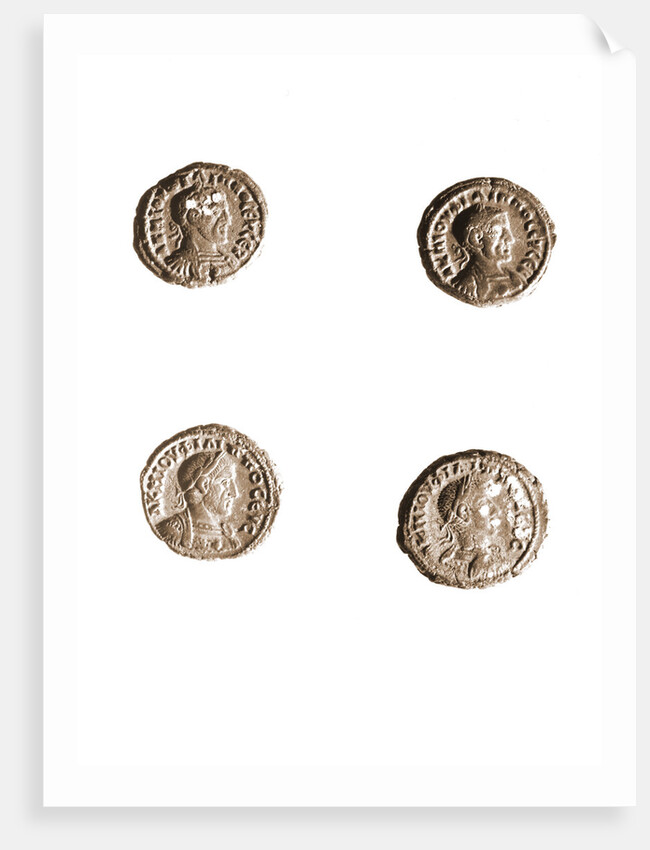Museo, S. Giuliano, L'Aquila, Abruzzo by Anonymous