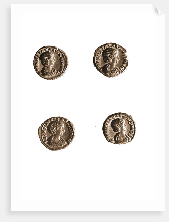 Museo, S. Giuliano, L'Aquila, Abruzzo by Anonymous