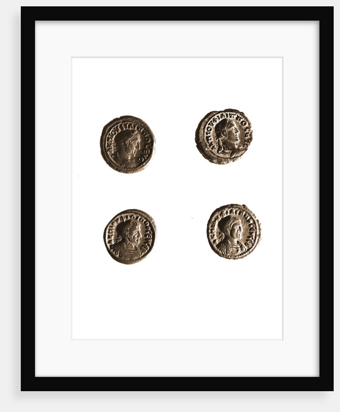 Museo, S. Giuliano, L'Aquila, Abruzzo by Anonymous