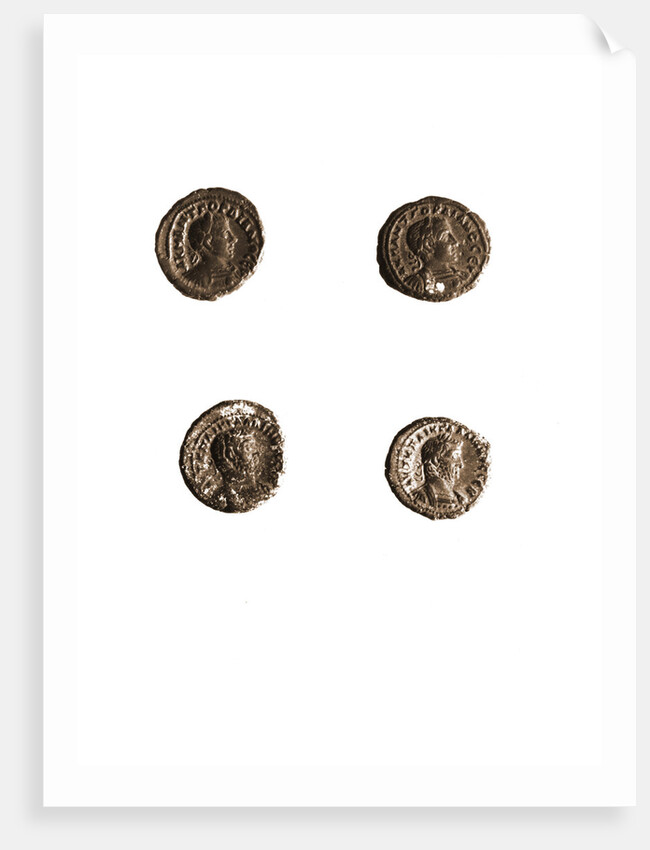 Museo, S. Giuliano, L'Aquila, Abruzzo by Anonymous