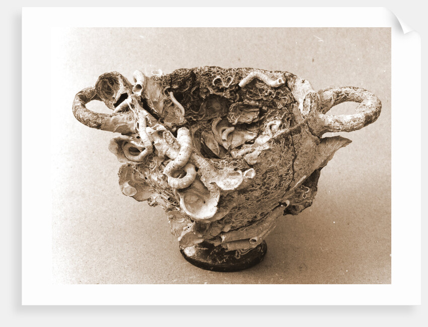 Museo, S. Giuliano, L'Aquila, Abruzzo by Anonymous