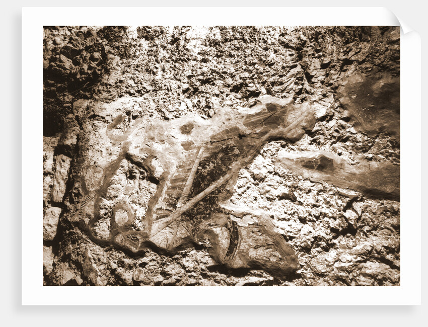 Imag, Catacomb of S. Vittorino, San Vittorino, L'Aquila, Abruzzo by Anonymous