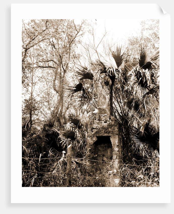 Chimneys, Ormond hammock, The, Jackson, Chimneys, Ruins, United States, Florida, Ormond Beach, 1880 by William Henry