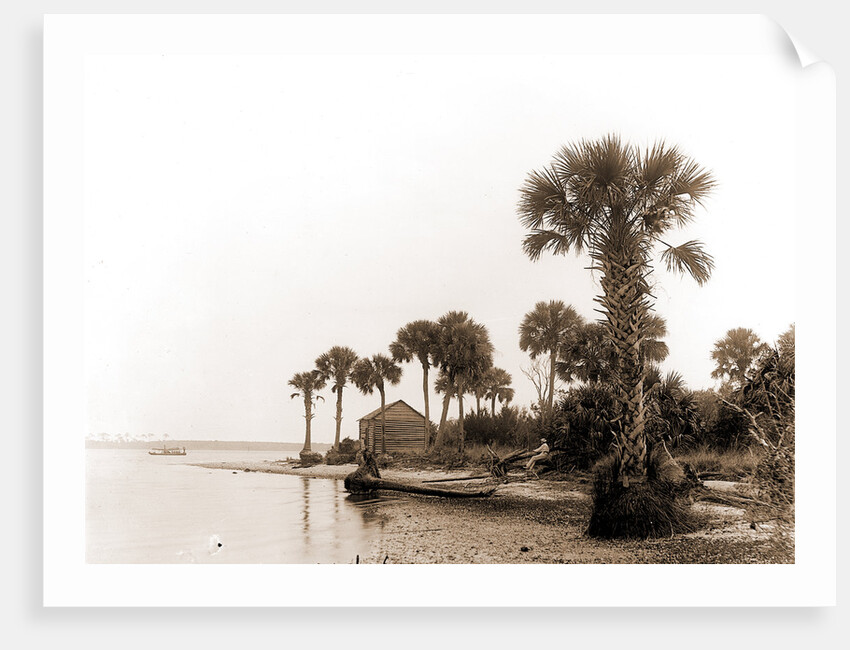 Ross Point on the Halifax, Fla, Jackson, Capes (Coasts), Rivers, United States, Florida, Halifax River, 1880 by William Henry