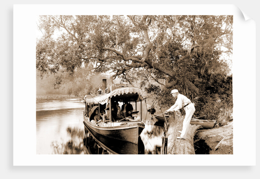 On the Tomoka, Jackson, Steamboats, Waterfronts, Rivers, United States, Florida, Tomoka River, 1880 by William Henry