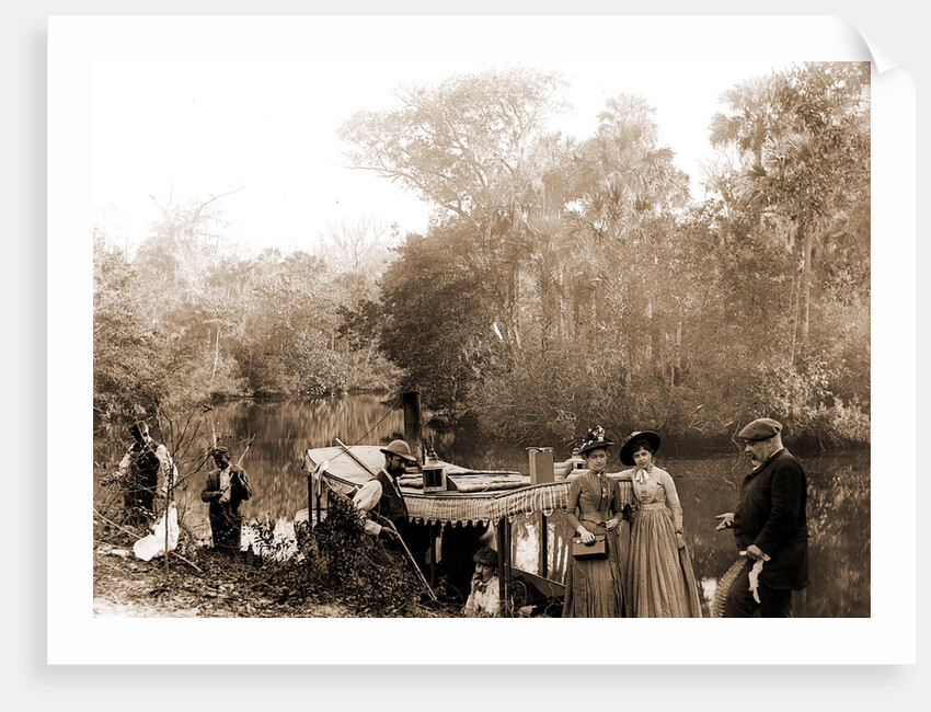 On the Tomoka, Jackson, Tourist trade, Rivers, Alligator hunting, United States, Florida, Tomoka River, 1880 by William Henry