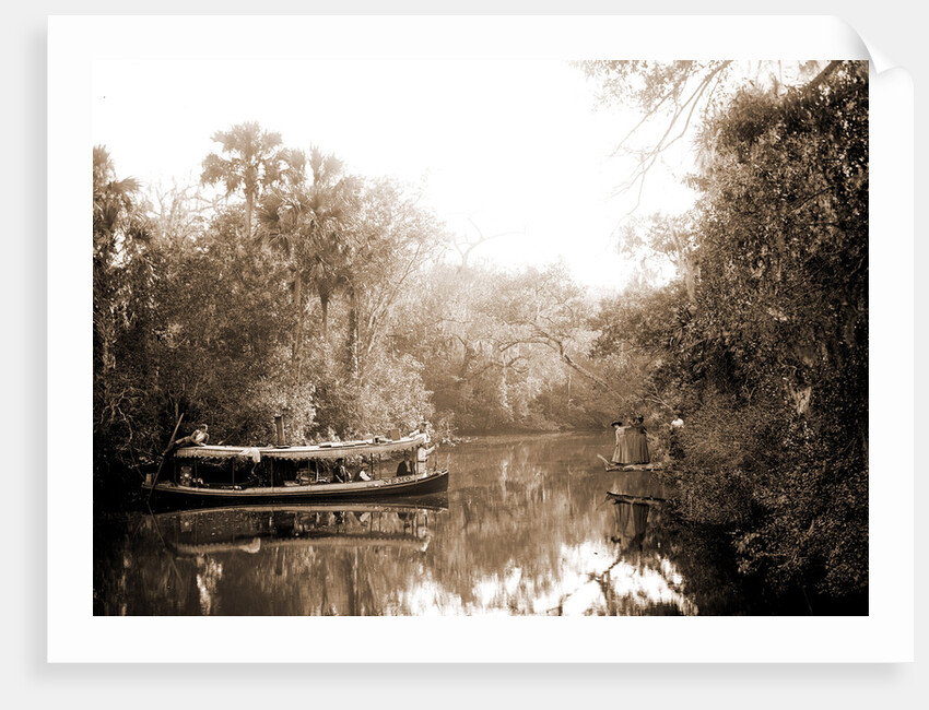 Boating on the Tomoka, Jackson, Steamboats, Rivers, United States, Florida, Tomoka River, 1880 by William Henry