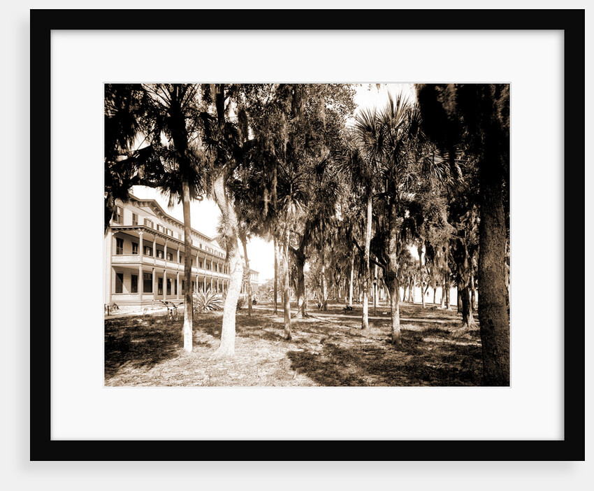 Hotel Rockledge, Indian River, Jackson, Hotel Rockledge (Fla.), Hotels, Palms, Bays, United States, Florida, Indian River, 1880 by William Henry