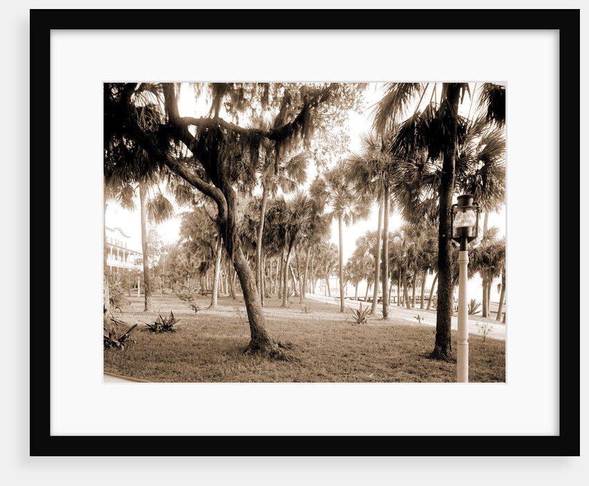 Hotel Rockledge, Jackson, Hotel Rockledge (Fla.), Hotels, Palms, Bays, United States, Florida, Indian River, 1880 by William Henry