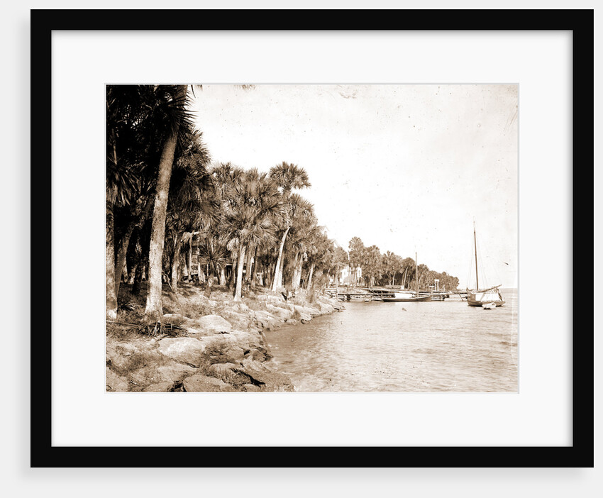 Rockledge, Indian River, Jackson, Hotel Rockledge (Fla.), Hotels, Waterfronts, Bays, United States, Florida, Indian River, 1880 by William Henry
