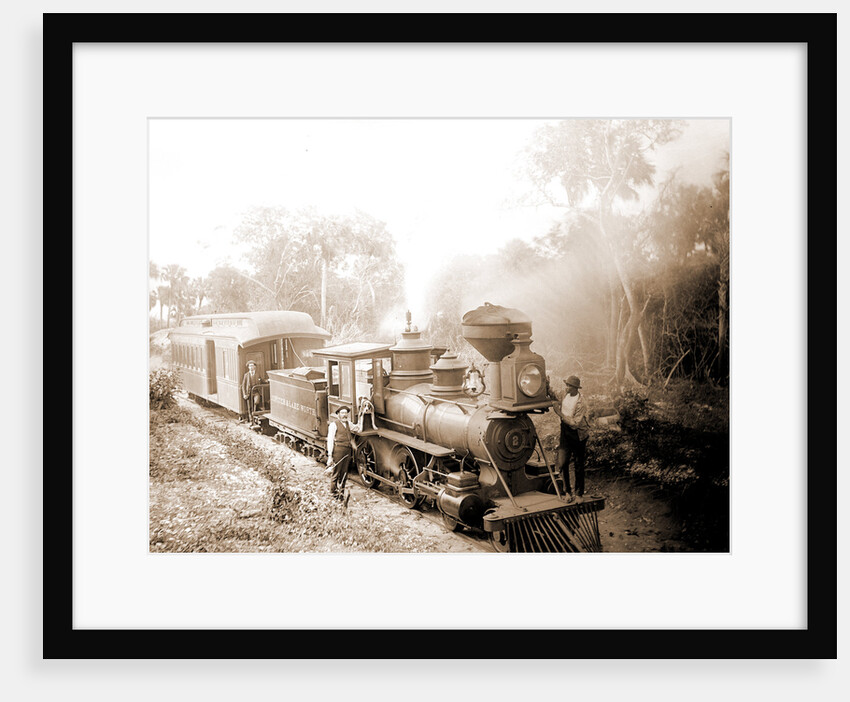 Jupiter & Lake Worth R.R, Jackson, Jupiter & Lake Worth Railroad, Railroad companies, Railroad locomotives, United States, Florida, Jupiter, 1880 by William Henry