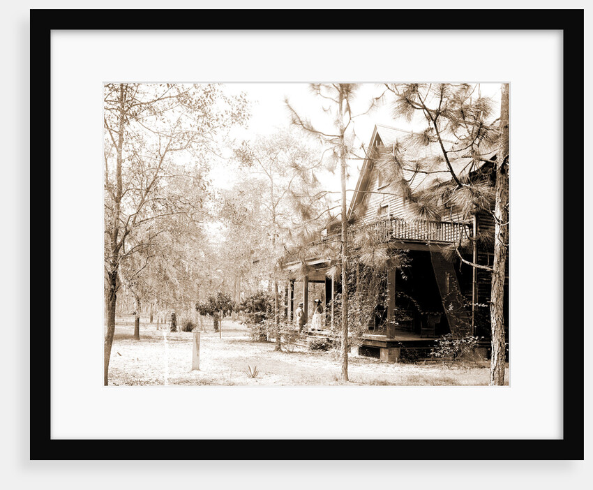 Florida home, Seville, Fla, A, Jackson, Dwellings, United States, Florida, Seville, 1880 by William Henry