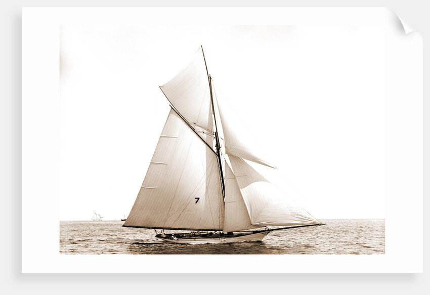 Gossoon, July 10, 1890, Gossoon (Sloop), 1890 by Anonymous