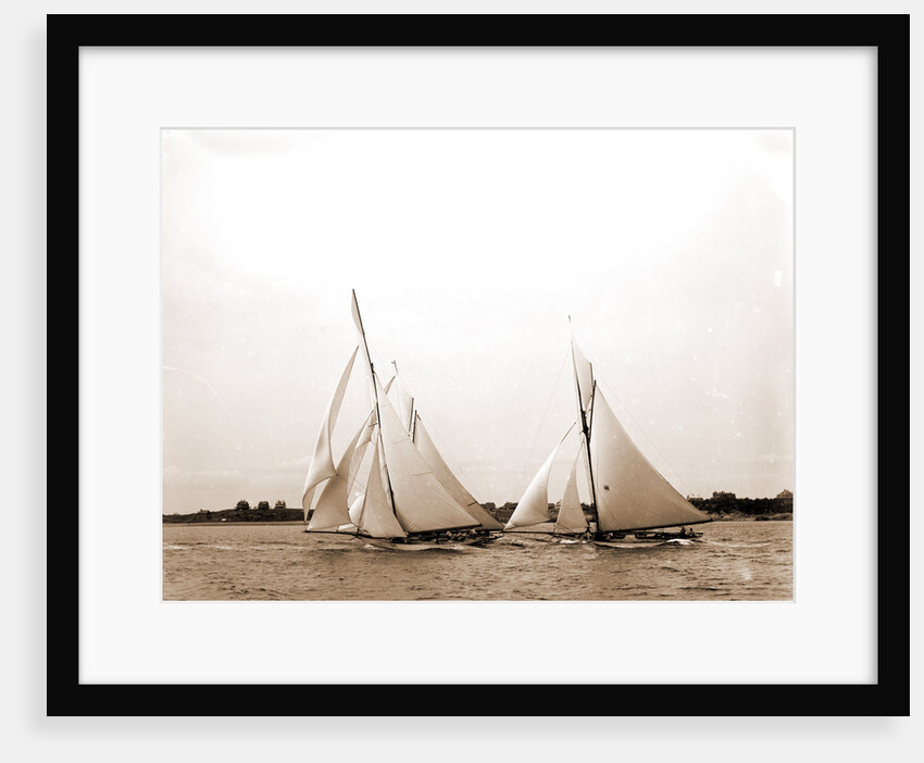 Start, forty footers, August 18, 1890, Regattas, 1890 by Anonymous