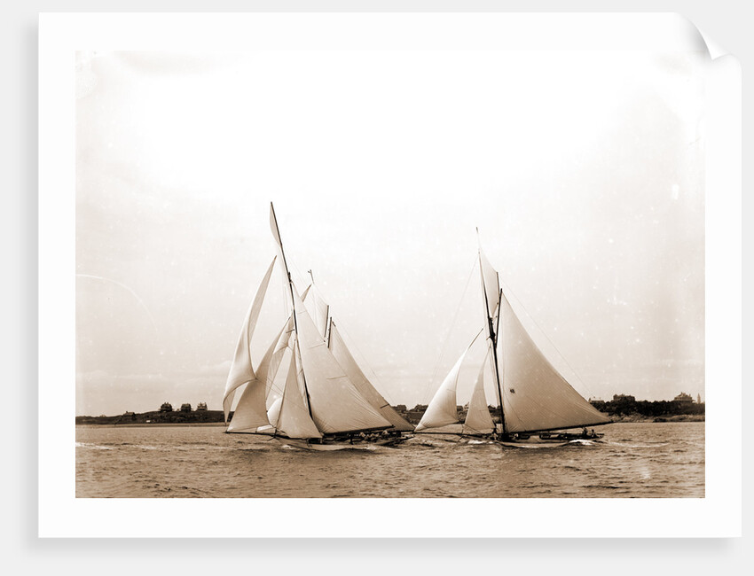 Start, forty footers, August 18, 1890, Regattas, 1890 by Anonymous