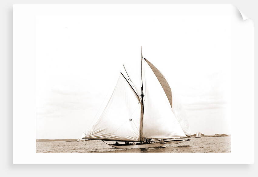 Ventura (Yacht) by Anonymous