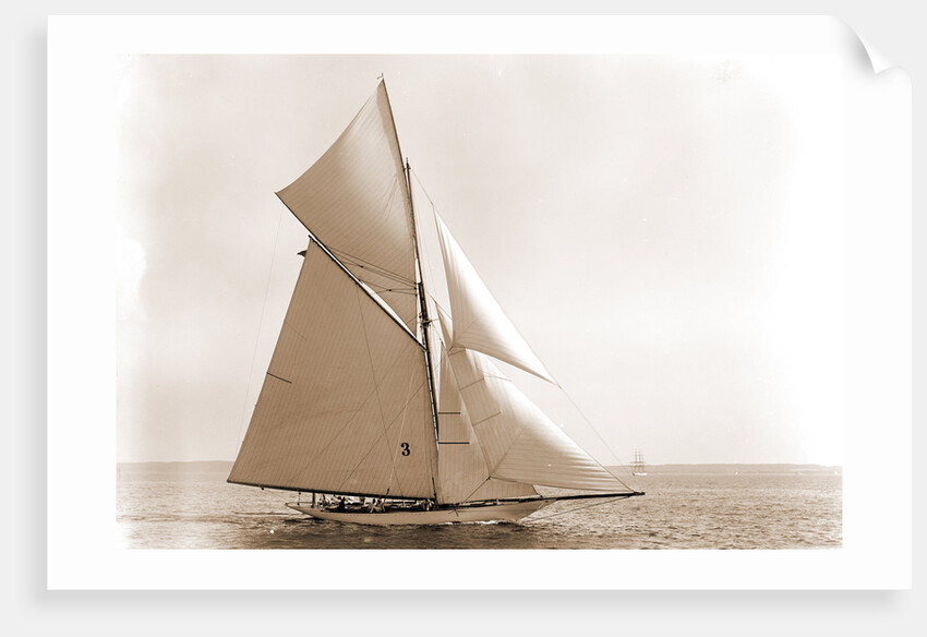 Gloriana (Yacht) by Anonymous