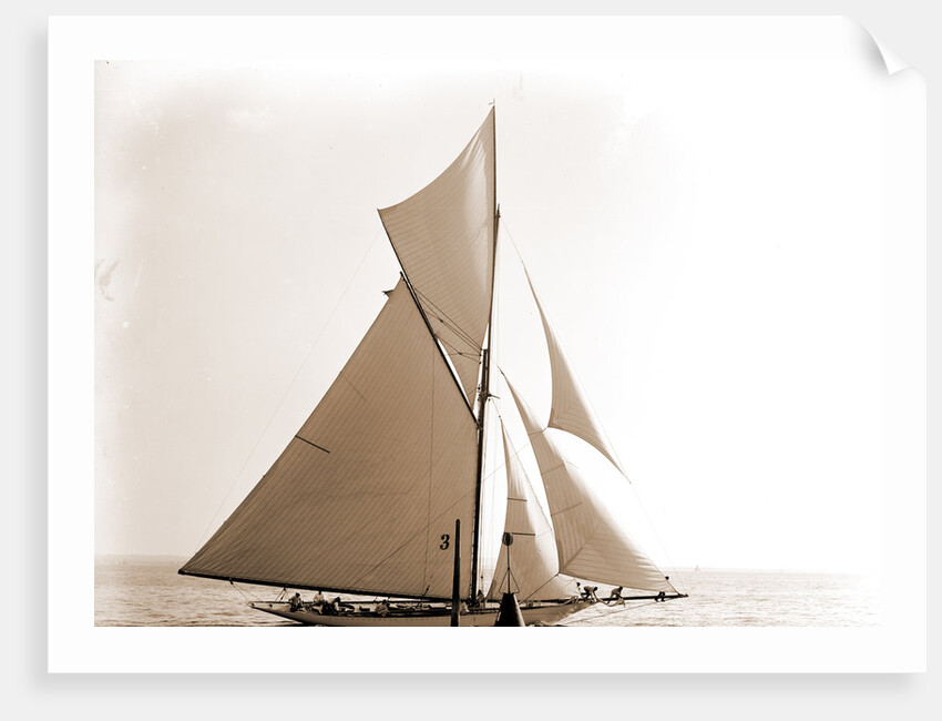 Gloriana, June 23, 1891, Gloriana (Yacht) by Anonymous