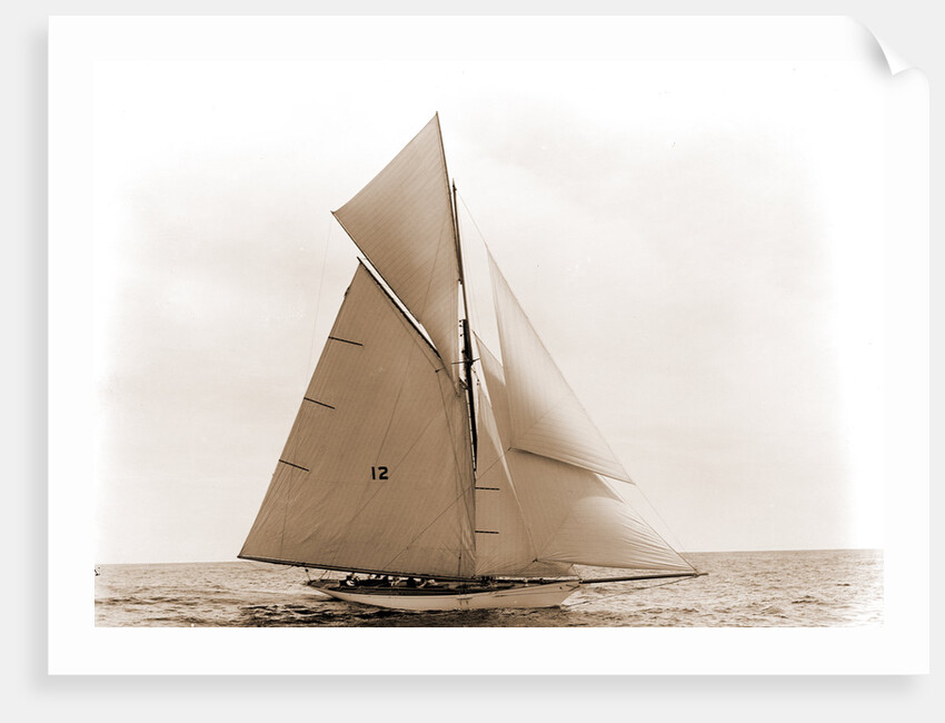 Beatrix, Harpoon (Yacht) by Anonymous