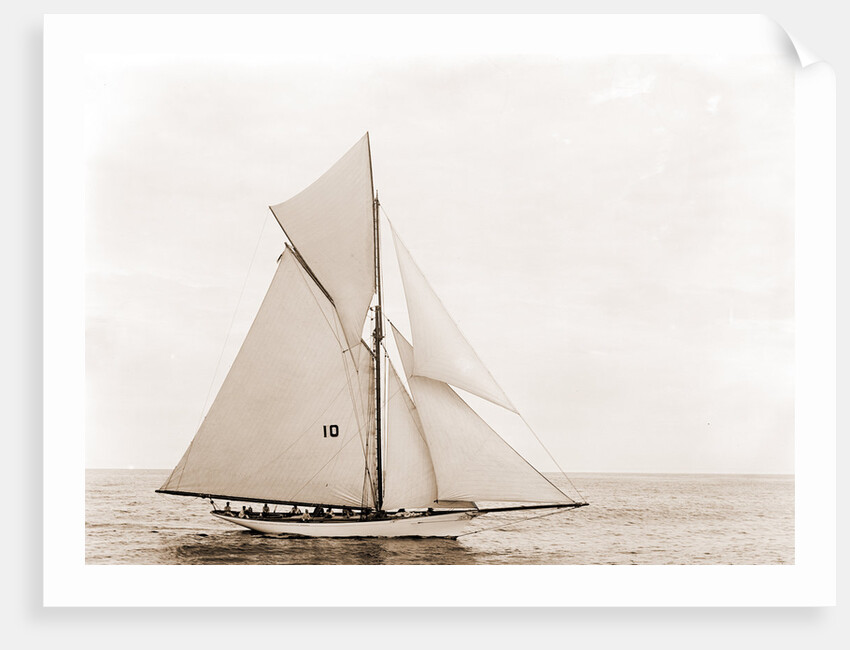 Thelma (Yacht) by Anonymous