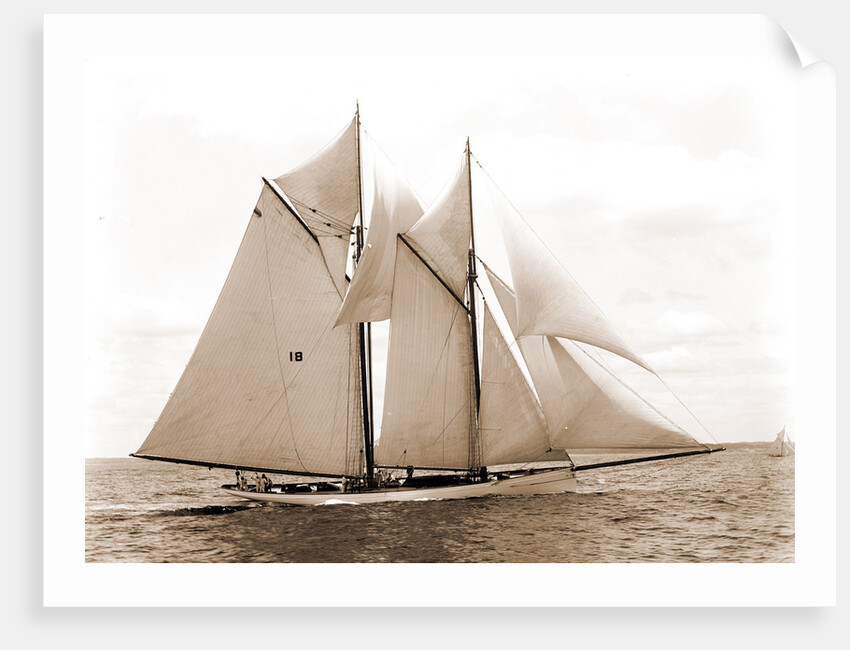 Mayflower (Schooner), 1891 by Anonymous