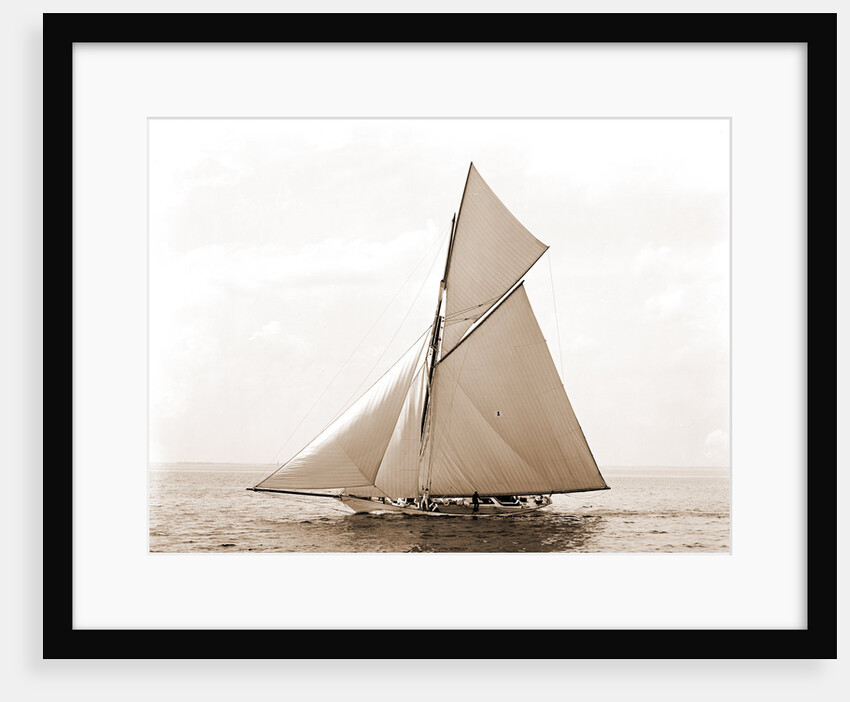 Beatrix, Harpoon (Yacht) by Anonymous