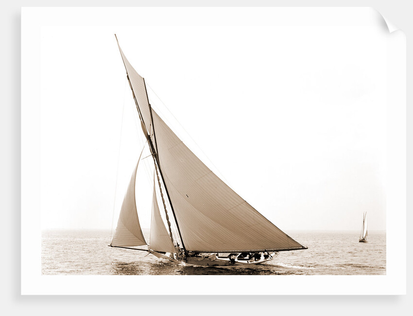 Beatrix, Harpoon (Yacht) by Anonymous