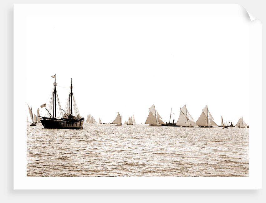 Start, 46-footers, Goelet Cup Race, Regattas, 1891 by Anonymous
