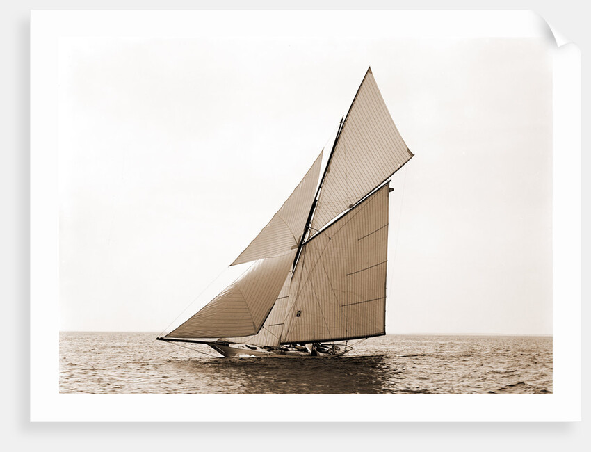 Gloriana, Goelet Cup Race, Gloriana (Yacht) by Anonymous