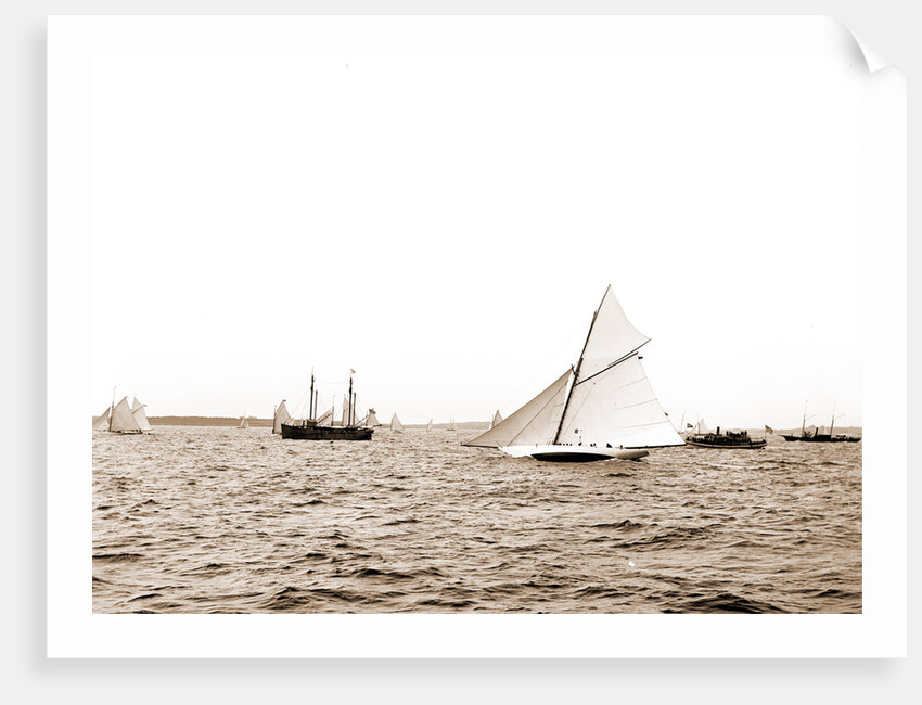Gloriana, Goelet Cup Race, Gloriana (Yacht) by Anonymous
