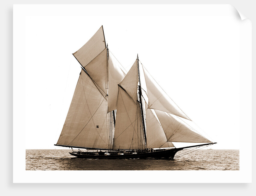 Fortuna, Goelet Cup Race, Fortuna (Schooner), 1891 by Anonymous