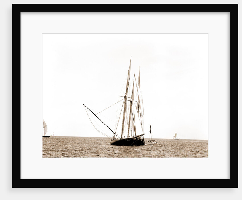 Gracie and Volunteer foul, Gracie (Yacht) by Anonymous