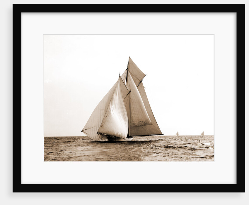 Marguerite, Goelet Cup Race, Marguerite (Schooner), 1891 by Anonymous