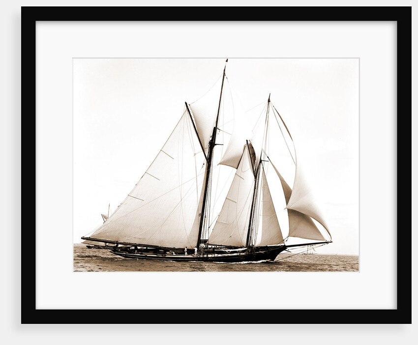 Constellation (Schooner), 1891 by Anonymous