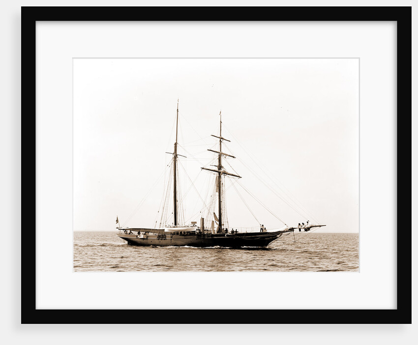 Golden Fleece, Satanella (Steam yacht), 1891 by Anonymous