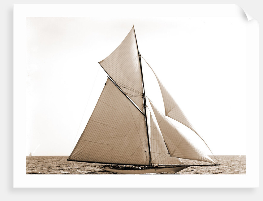 Gloriana, Corinthian sweepstakes, Corinthian Yacht Club, Gloriana (Yacht) by Anonymous