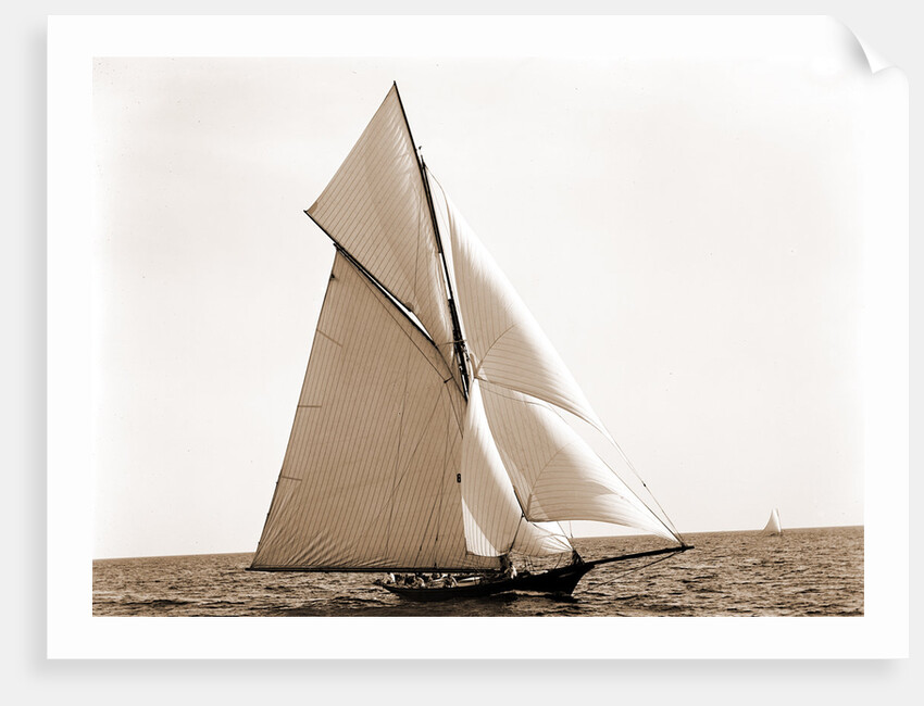 Oweene, Corinthian sweepstakes, Corinthian Yacht Club, Oweene (Sloop), 1891 by Anonymous