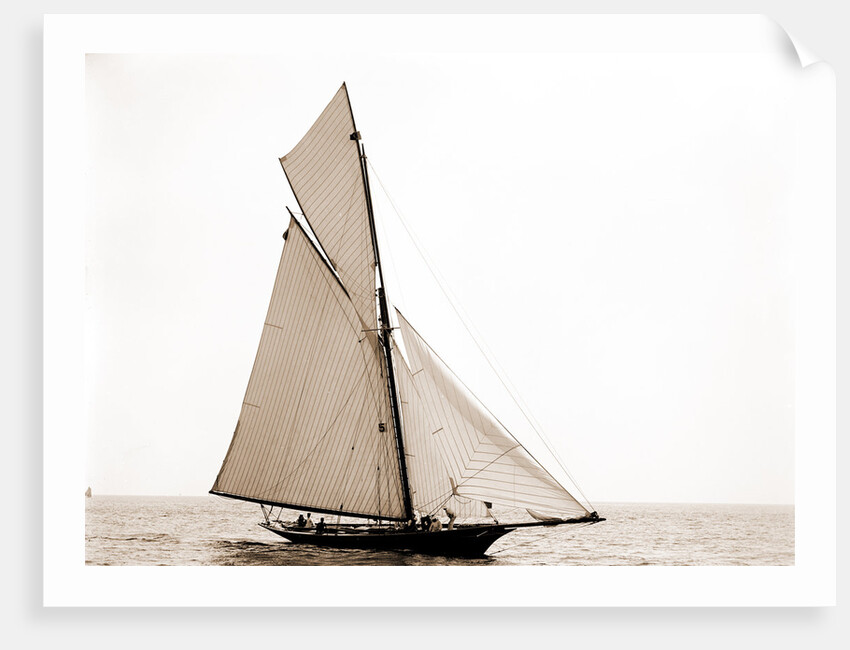 Jessica, Corinthian sweepstakes, Corinthian Yacht Club, Jessica (Yacht) by Anonymous