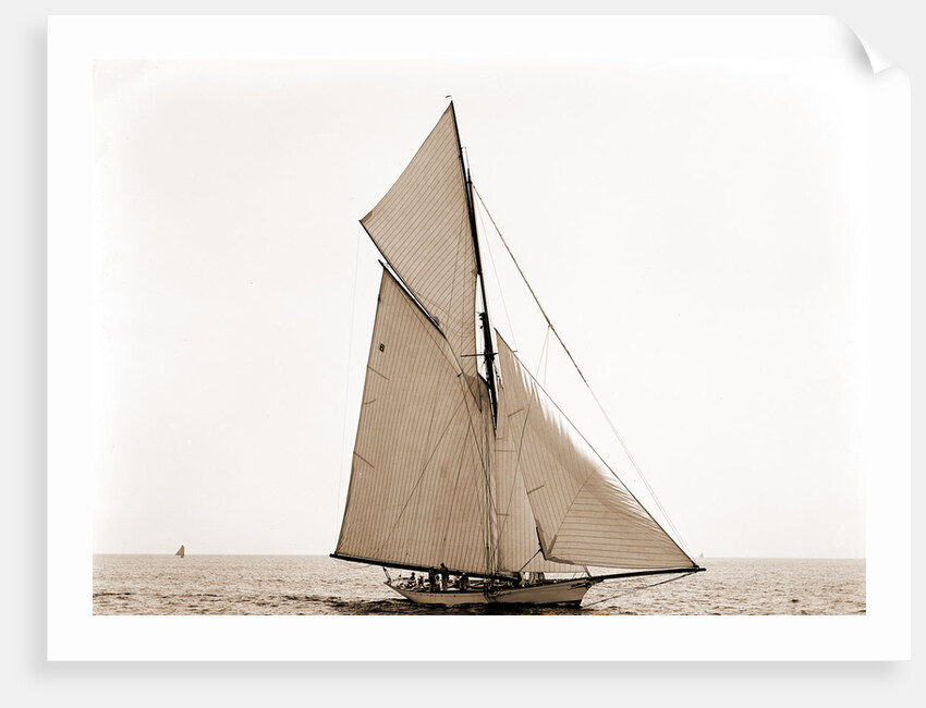 Mineola, Corinthian Sweepstakes, August 17, 1891, Corinthian Yacht Club, Mineola (Yacht) by Anonymous